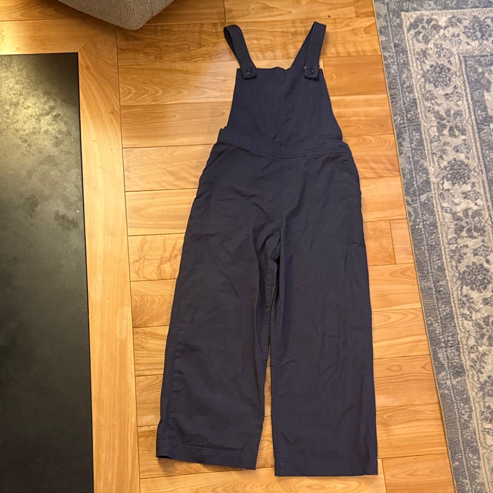 Navy Blue Patagonia Overalls